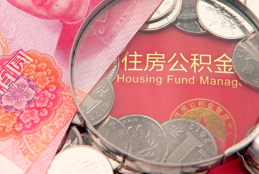 无棣上海公积金公司（上海公积金公司缴纳标准2024）